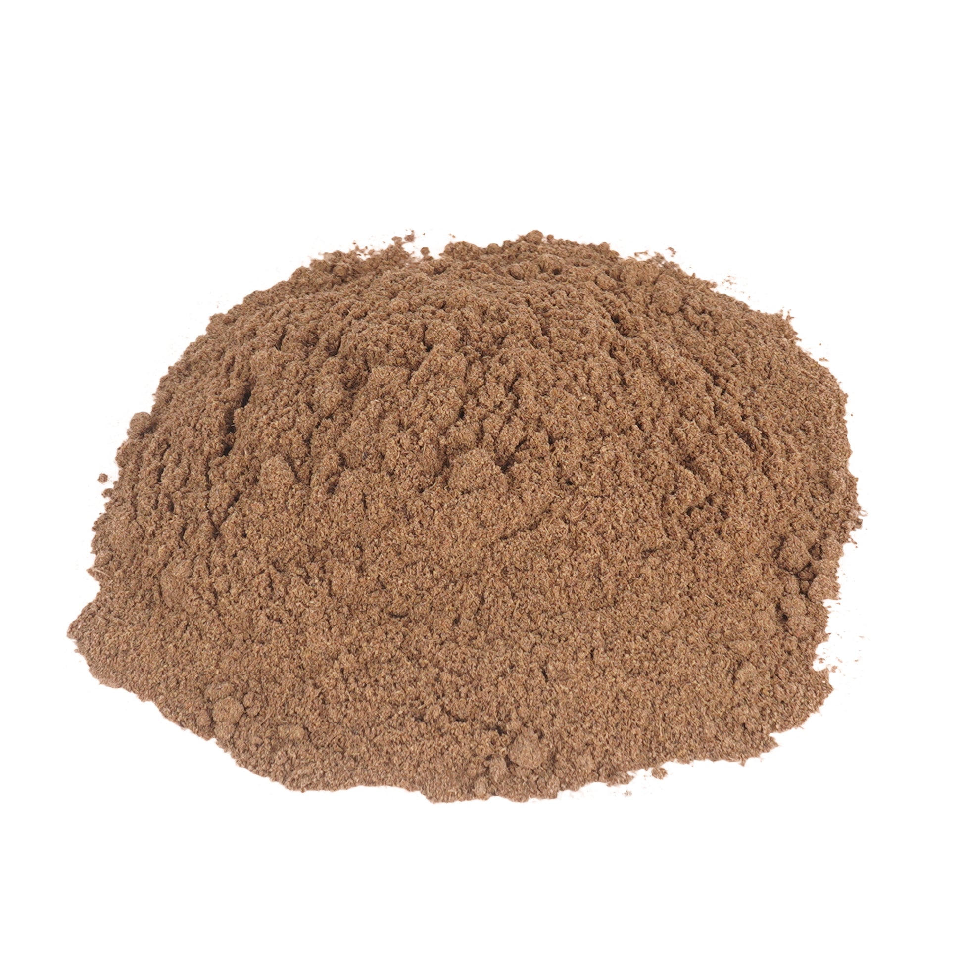 Earthspice Garam Masala powder on a white background.